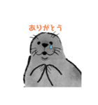 こんにちは、あざらしさん（個別スタンプ：5）