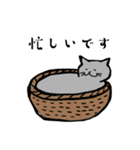 グレーのねこの日常（個別スタンプ：1）