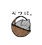 グレーのねこの日常（個別スタンプ：4）