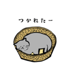グレーのねこの日常（個別スタンプ：9）