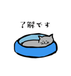グレーのねこの日常（個別スタンプ：11）