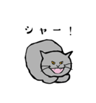 グレーのねこの日常（個別スタンプ：19）