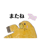元気で可愛いセイウチ（個別スタンプ：3）