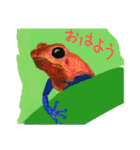 なんとなくそこにいるカエルたち（個別スタンプ：7）
