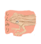 なんとなくそこにいるカエルたち（個別スタンプ：13）