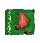 なんとなくそこにいるカエルたち（個別スタンプ：14）
