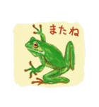 なんとなくそこにいるカエルたち（個別スタンプ：16）