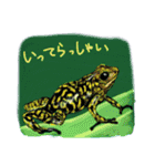 なんとなくそこにいるカエルたち（個別スタンプ：23）