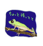 なんとなくそこにいるカエルたち（個別スタンプ：31）