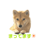使える❗️うーさんスタンプ（個別スタンプ：7）