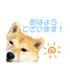 使える❗️うーさんスタンプ（個別スタンプ：8）