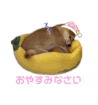 使える❗️うーさんスタンプ（個別スタンプ：9）
