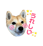 使える❗️うーさんスタンプ（個別スタンプ：13）