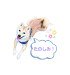 使える❗️うーさんスタンプ（個別スタンプ：18）