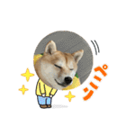 使える❗️うーさんスタンプ（個別スタンプ：26）