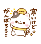 ねこねこにゃんこ♡豆柴日和の冬（個別スタンプ：8）