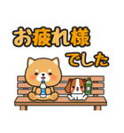 毎日使える♪ずっと定番 #柴犬クッキー6（個別スタンプ：2）