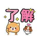 毎日使える♪ずっと定番 #柴犬クッキー6（個別スタンプ：3）