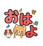 毎日使える♪ずっと定番 #柴犬クッキー6（個別スタンプ：10）