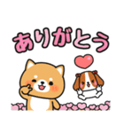 毎日使える♪ずっと定番 #柴犬クッキー6（個別スタンプ：18）