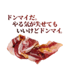 やるきない牛肉（個別スタンプ：16）