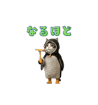 動く！ペンギン猫の冬（個別スタンプ：6）