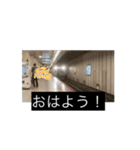 日本の西の方の電車スタンプ（個別スタンプ：1）