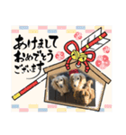 埼玉犬猫・岡山犬（個別スタンプ：25）