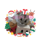 クリスマスまめ（個別スタンプ：1）