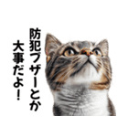 闇バイトを防ぐ猫【防犯・詐欺バイト対策】（個別スタンプ：3）