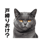 闇バイトを防ぐ猫【防犯・詐欺バイト対策】（個別スタンプ：4）