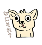 日常で使える！かわいい犬たち（個別スタンプ：1）