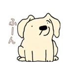 日常で使える！かわいい犬たち（個別スタンプ：4）