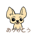 日常で使える！かわいい犬たち（個別スタンプ：5）