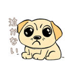 日常で使える！かわいい犬たち（個別スタンプ：16）