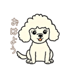 日常で使える！かわいい犬たち（個別スタンプ：20）