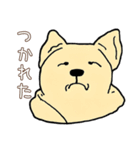 日常で使える！かわいい犬たち（個別スタンプ：24）