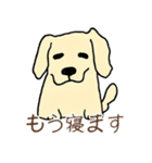 日常で使える！かわいい犬たち（個別スタンプ：26）