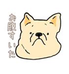 日常で使える！かわいい犬たち（個別スタンプ：27）