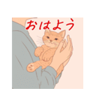 毎日子猫でおはよう（個別スタンプ：5）