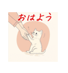 毎日子猫でおはよう（個別スタンプ：8）