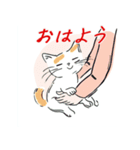 毎日子猫でおはよう（個別スタンプ：14）