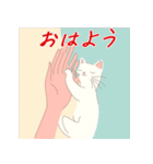 毎日子猫でおはよう（個別スタンプ：18）