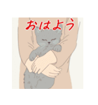 毎日子猫でおはよう（個別スタンプ：20）