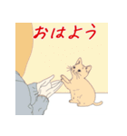 毎日子猫でおはよう（個別スタンプ：24）