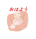 毎日子猫でおはよう（個別スタンプ：29）