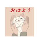 毎日子猫でおはよう（個別スタンプ：31）