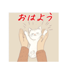 毎日子猫でおはよう（個別スタンプ：36）