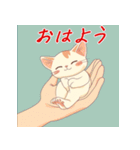 毎日子猫でおはよう（個別スタンプ：39）