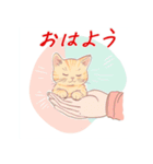 毎日子猫でおはよう（個別スタンプ：40）